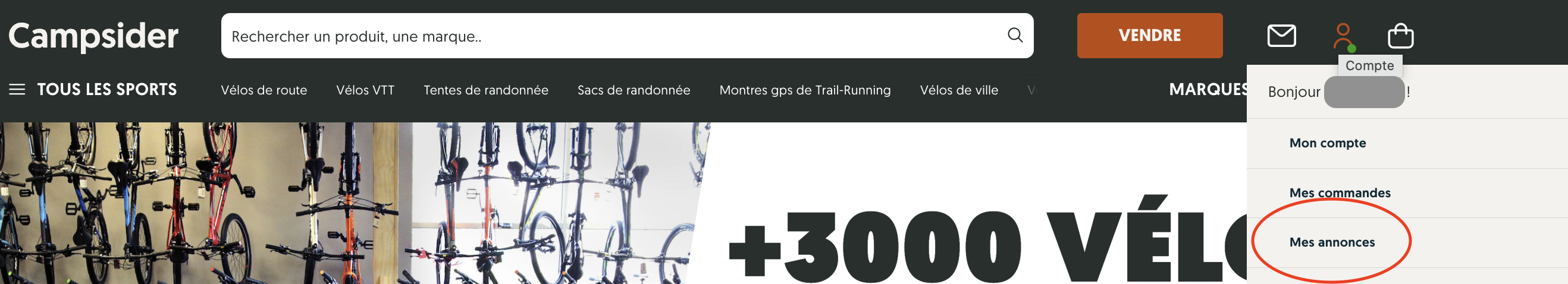 Capture d’écran 2023-07-31 à 16.48.22.png